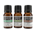 Essential Oils Bundle