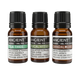 Essential Oils Bundle
