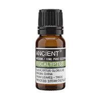 Eucalyptus Essential Oil