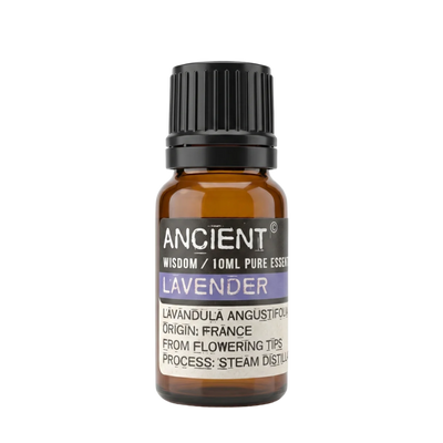 Lavender Essential Oil